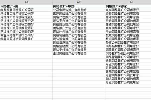 网站长尾词排名优化软件（网站长尾词是什么意思）