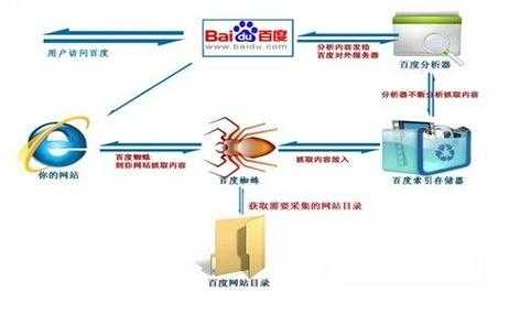 影响网站蜘蛛抓取次数的因素（在抓取网页时,网络蜘蛛采用怎样的抓取策略?）