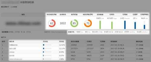 网站seo信息查询（seo网站查询工具）